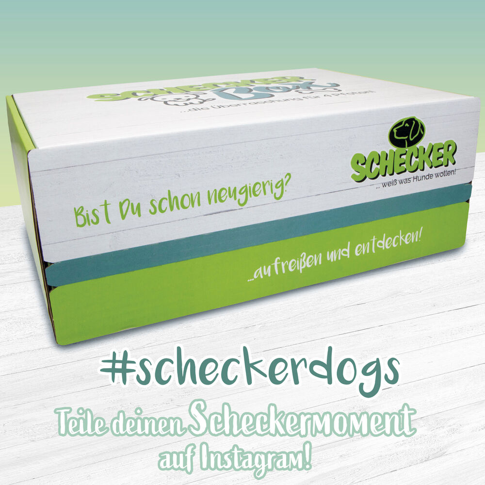 Weihnachts-Box, getreidefrei Bild 5