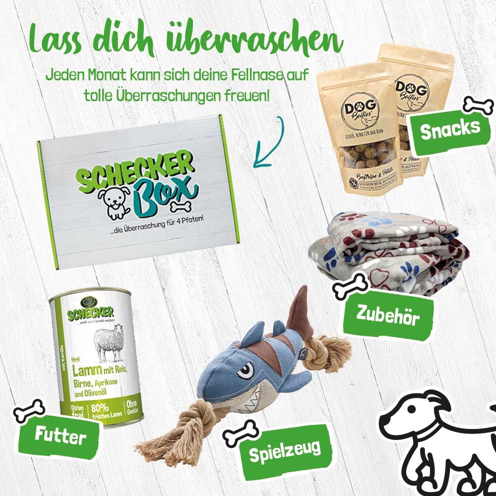 Ksten-Box Bild 2
