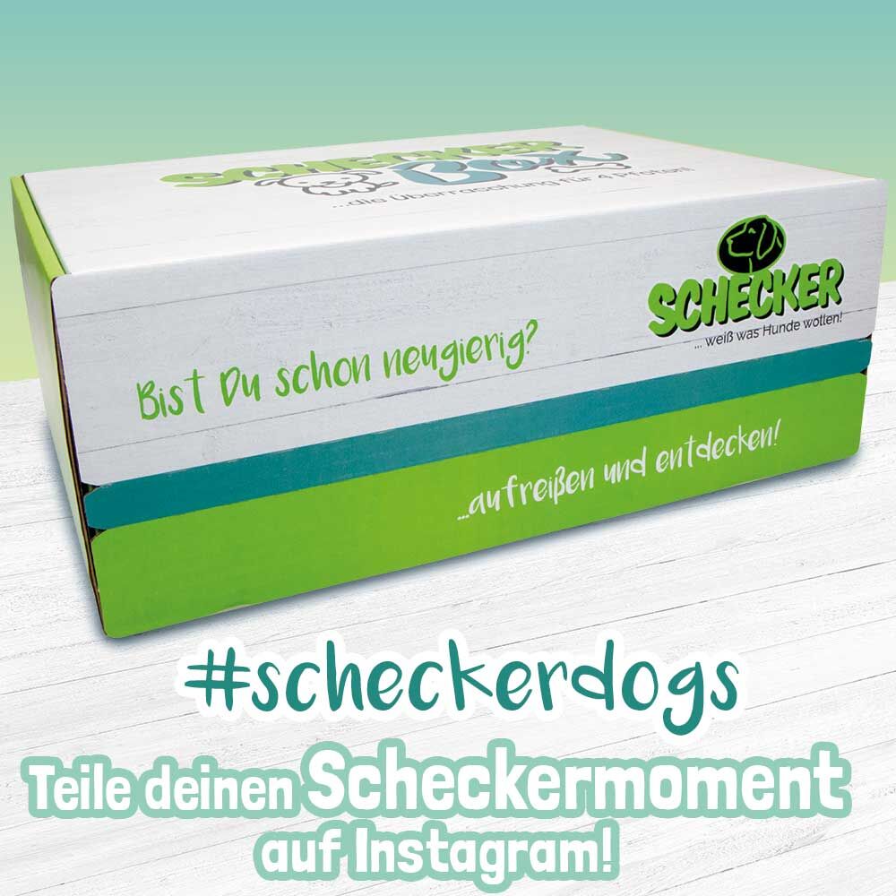 Ksten-Box Bild 3