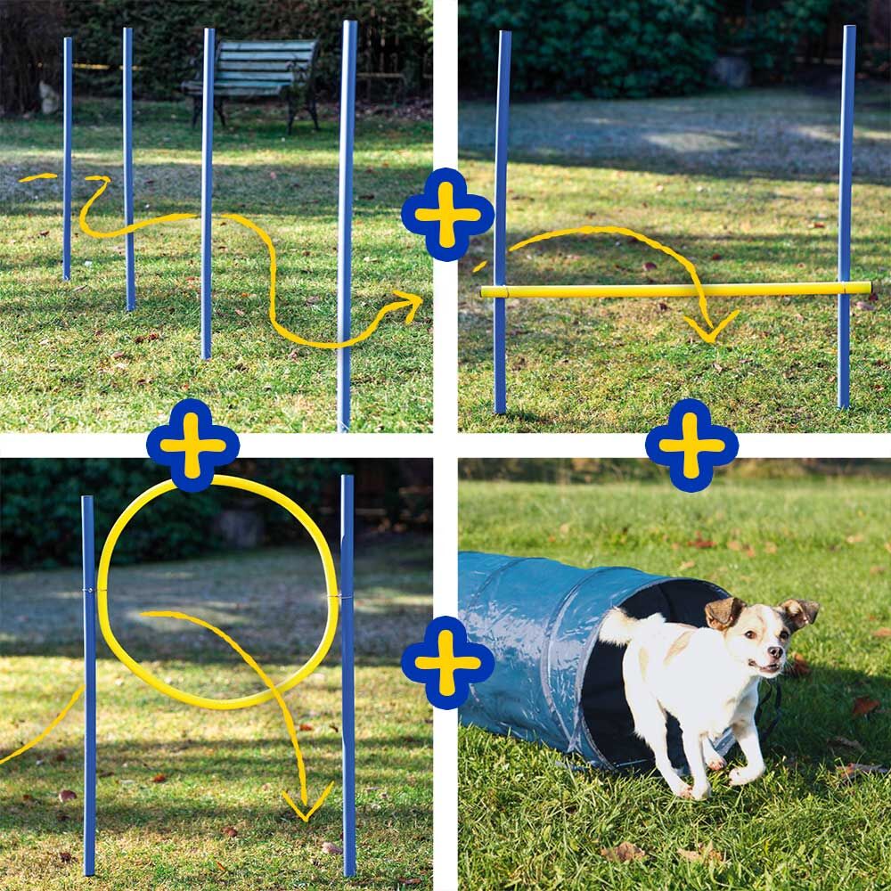 Dog Agility Set S/M Bild 2