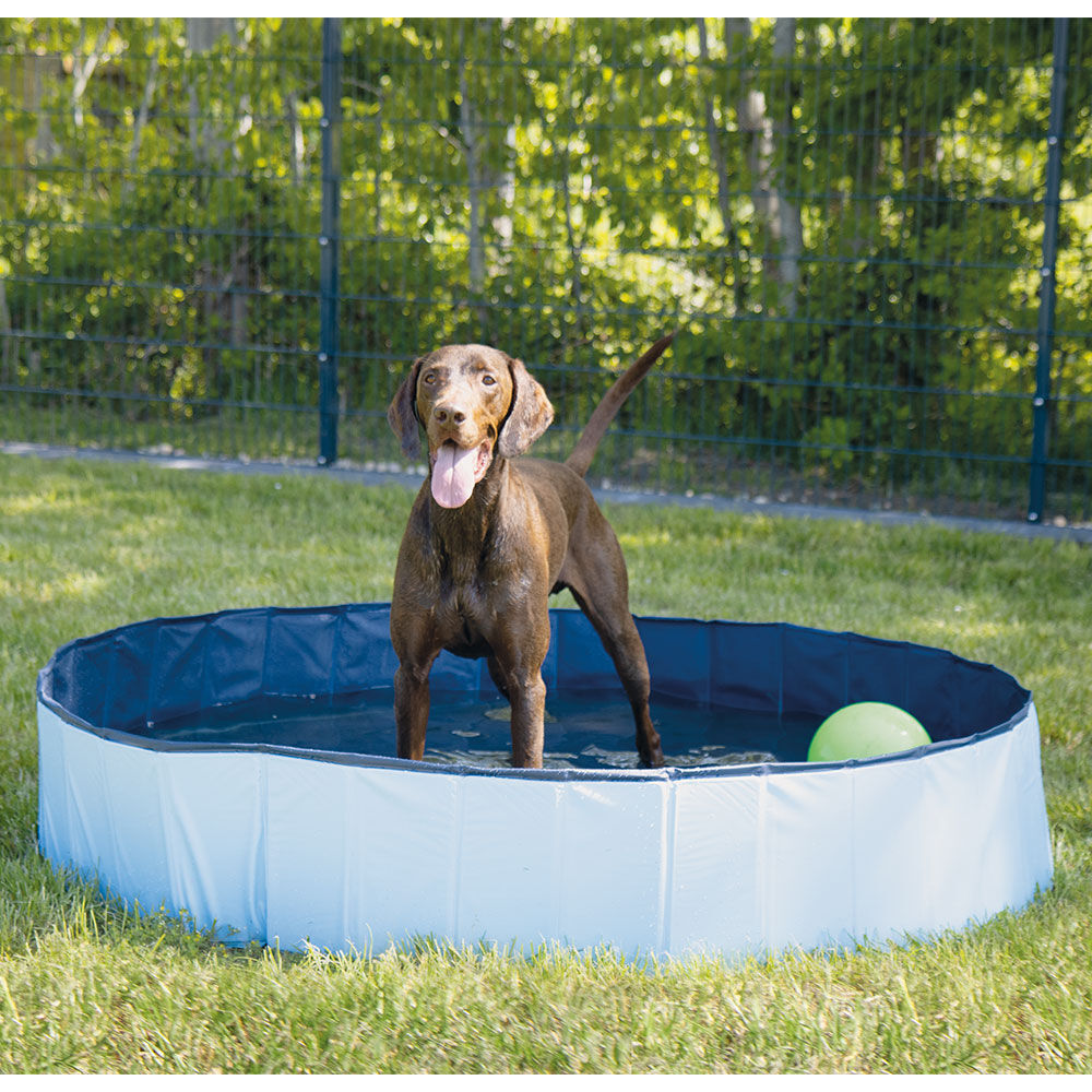 Doggy-Pool + Wassersprüher Coolpets Bild 2