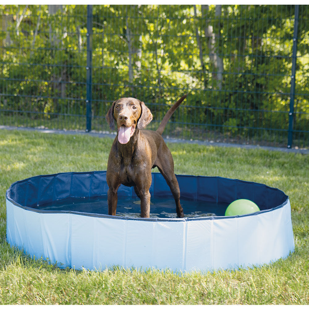 Doggy-Pool mit Abdeckung + Wassersprüher Coolpets Bild 2