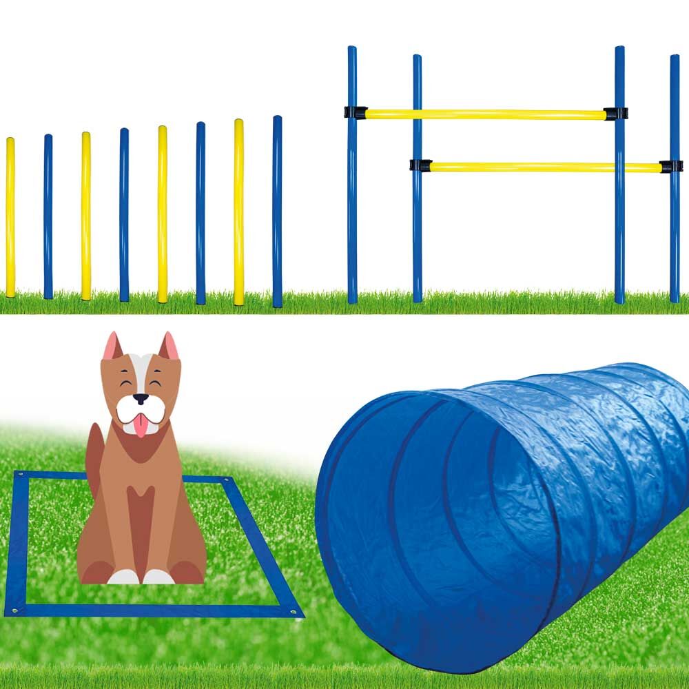 sympatisk Tålmodighed Låne Dog Agility Set - groß - kaufen bei Schecker.de