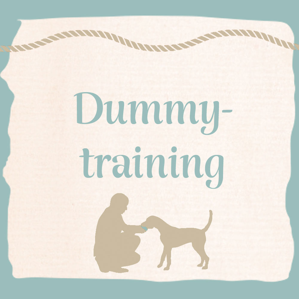 Dummy-Training