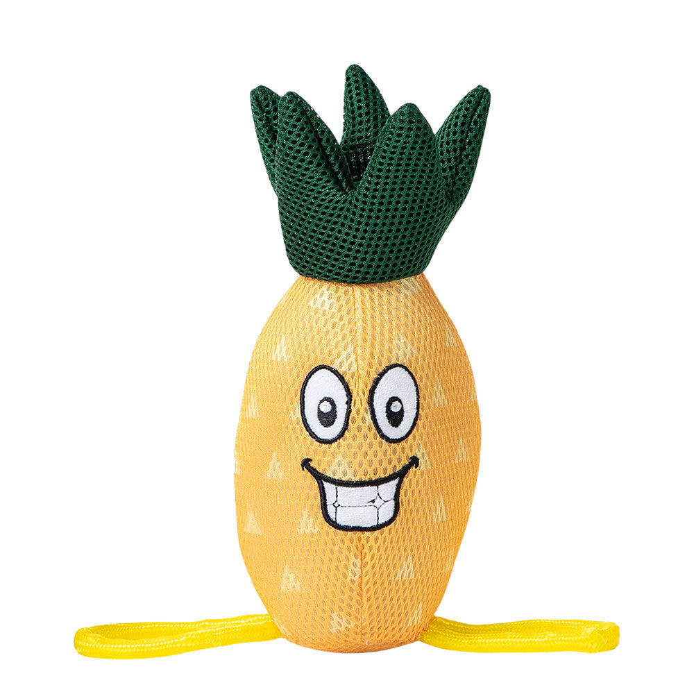 FREEDOG Mesh-Wasserspielzeug Ananas und Melone