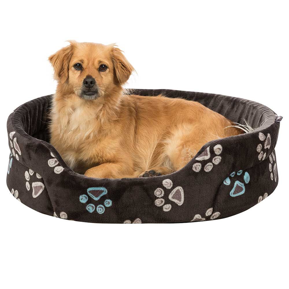 Hundebett Bunte Tapsen