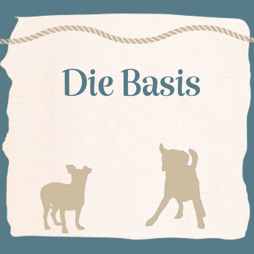 Hundefhrerschein Vorbereitung
