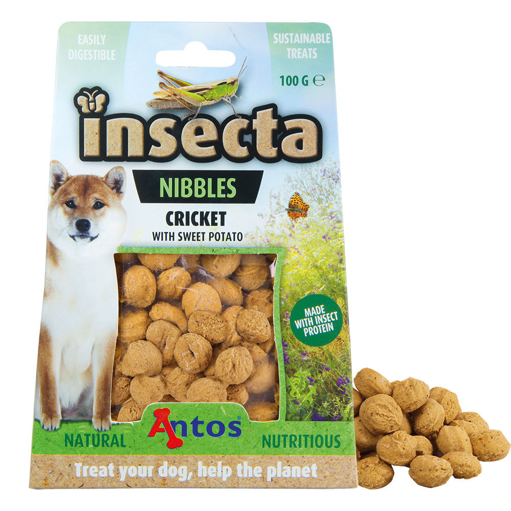 Insecta Nibbles Chicket (Grillen & Skartoffel)