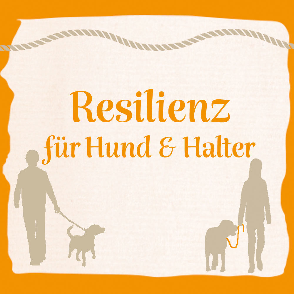 Leinenfhrigkeit