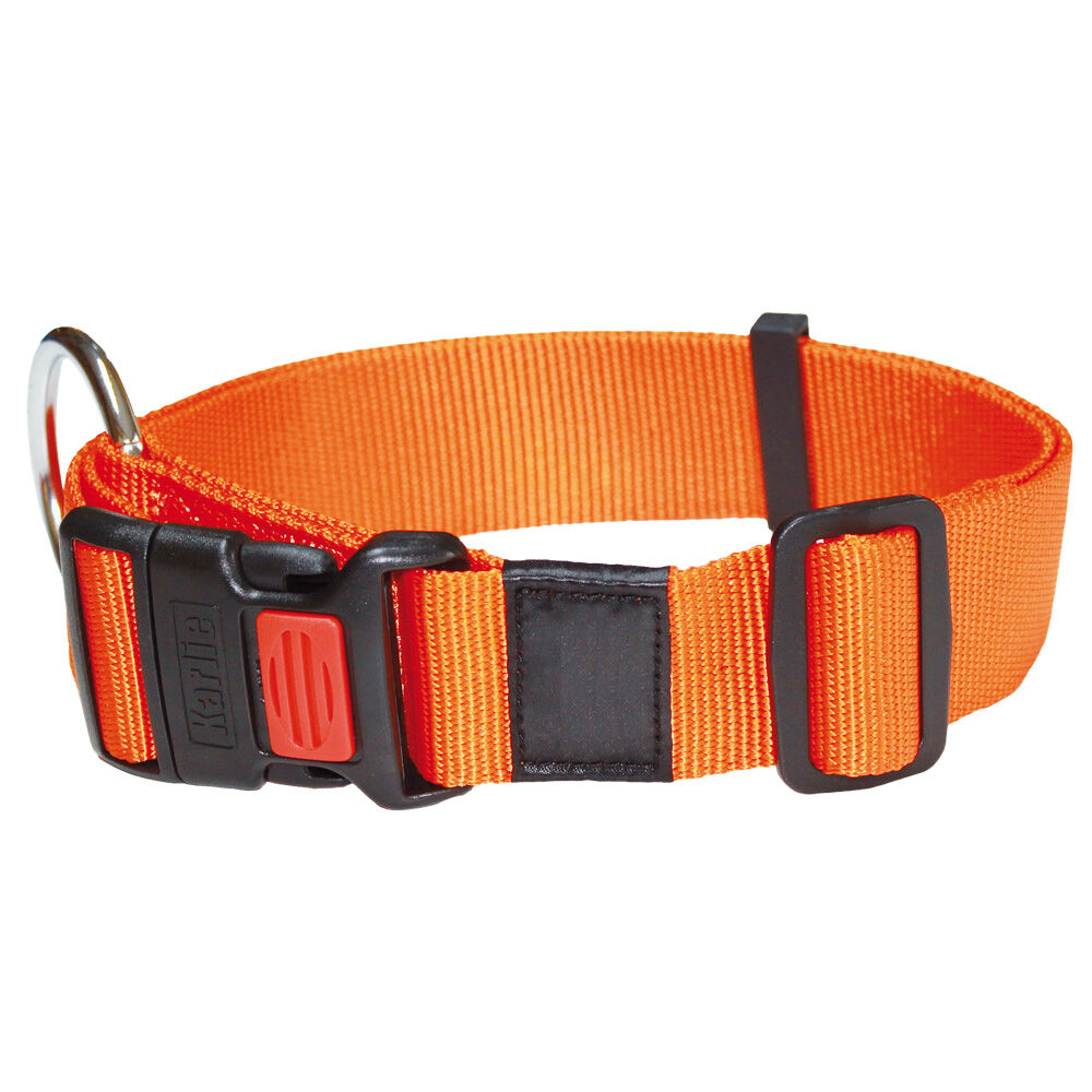 Nylon-Halsband Sportiv, Farbe: Orange