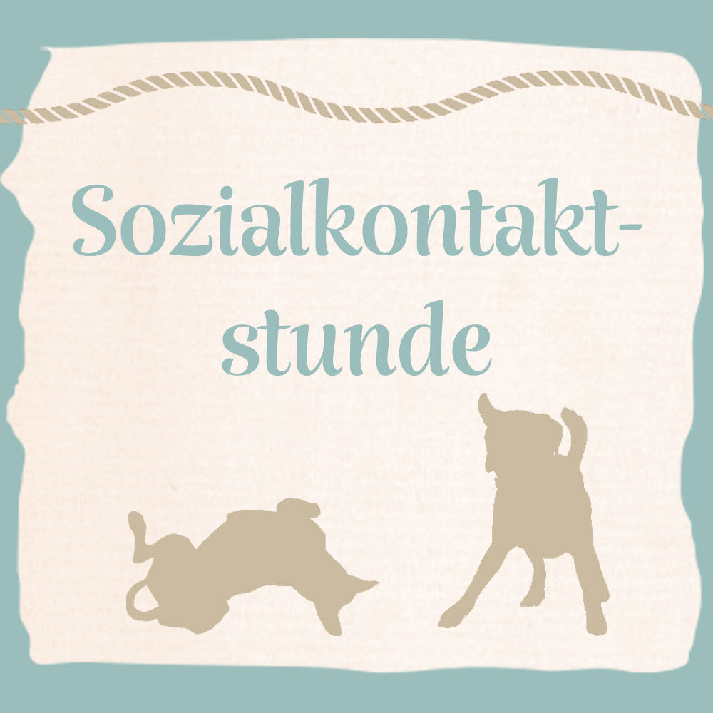 Sozialkontaktstunde