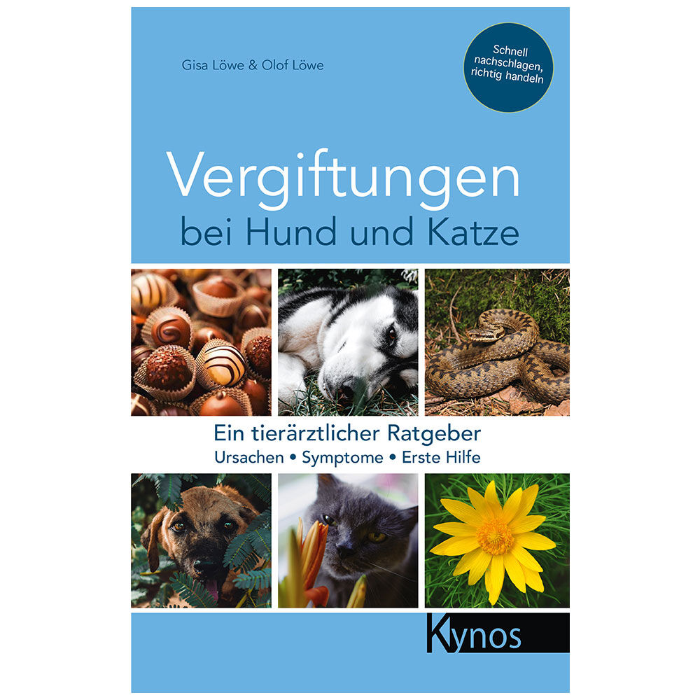 Vergiftungen bei Hund und Katze