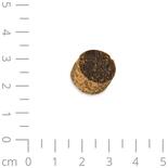 Greenhound Cookies mit Strau Hirsch