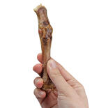 Hundesnack Ziegenknochen