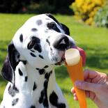 Hunde Eis Lollies