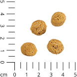 Insecta Nibbles Chicket (Grillen & Skartoffel)