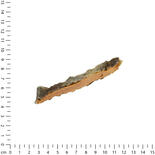 Kaustreifen aus Lachs