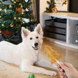 Weihnachtskausnack Tannenbaum
