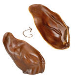Antos Vegetarische Kauohren Cerea Ear
