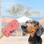 Trixie Kausnack Ice Pop