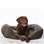 SCRUFFS Chester Box Bett - Graphit -