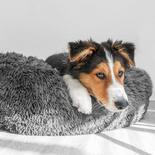 Hunde-Plschbett Flauschi