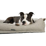 Nobby Orthopdisches Komfort-Bett