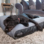 Scruffs Chateau orthopdisches Hundekissen