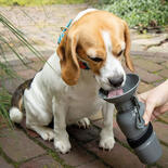 Hunde-Trinkflasche NIA