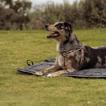 FuzzYard Active Roll-Up Hunde-Reisematte