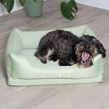 FREEDOG Glacial Cooling-Hundebett