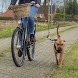 Hunde Fahrradhalter Doggy Biker Set