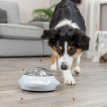 Hundespielzeug Snack Popper