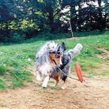 Nobby Hunde-Wasserspielzeug - Rettungsboje mit Seil -