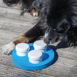 Hunde-Schnffeltrainer Disk
