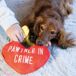 Hundespielzeug Partner in Crime