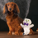 Halloween Plsch Geist Spookie