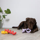 Coockoo Hundespielzeug