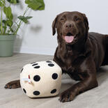 Coockoo Hundespielzeug Roll the Dice