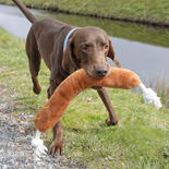 Beeztees Hundespielzeug BBQ Wurst mit Seil