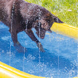Beeztees Hundepool Palmy