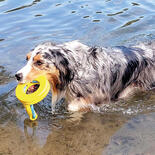 Nobby Hunde-Wasserspielzeug Ring mit Griff