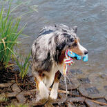 Nobby Hunde-Wasserspielzeug Anker mit Seil