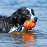 Karlie Hundespielzeug Boomer Aqua-Football