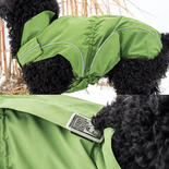 DogBite Winterjacke, gefüttert - Farbe: Grün