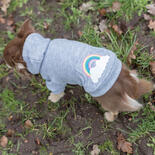Trixie Hundepullover Rainbow Falls