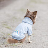 Trixie Hundepullover Rainbow Falls