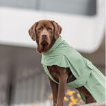 Trixie Hunde-Regenmantel CityStyle Dublin