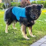 Nobby Hunde-Khljacke Light