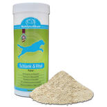 Nutrizeutikum - Schlank & Vital -